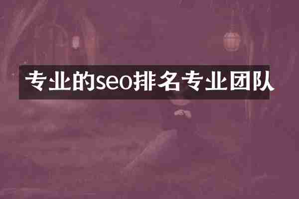 专业的seo排名专业团队