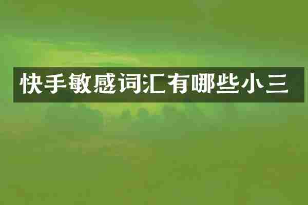 快手汇有哪些