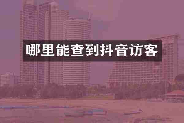 哪里能查到抖音访客