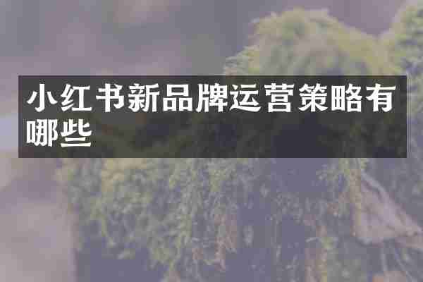 小红书新品牌运营策略有哪些