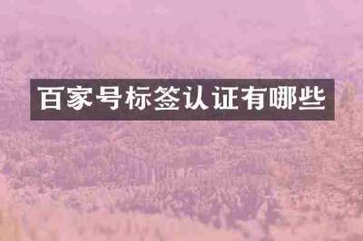 百家号标签认证有哪些
