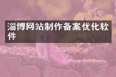 淄博网站制作备案优化软件