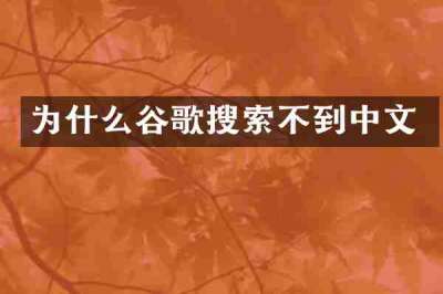 为什么谷歌搜索不到中文