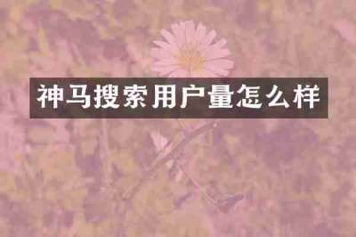 神马搜索用户量怎么样