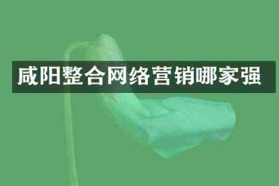 咸阳整合网络营销哪家强