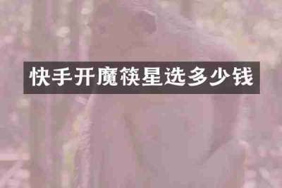 快手开魔筷星选多少钱