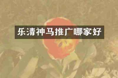 乐清神马推广哪家好