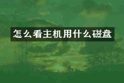 怎么看主机用什么磁盘