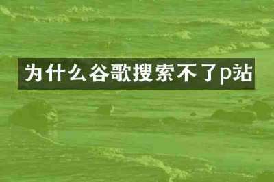 为什么谷歌搜索不了p站
