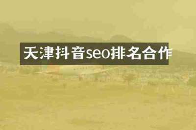 天津抖音seo排名合作