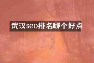 武汉seo排名哪个好点
