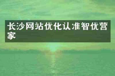 长沙网站优化认准智优营家