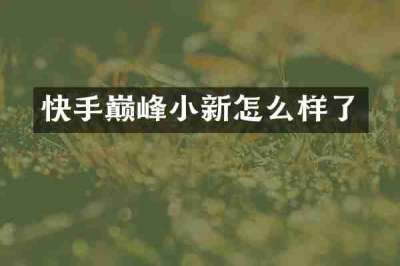 快手巅峰小新怎么样了