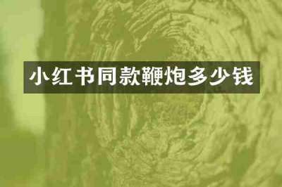小红书同款鞭炮多少钱