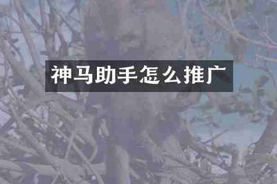 神马助手怎么推广
