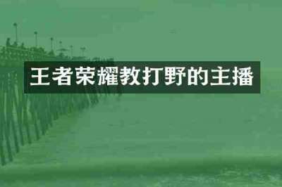 王者荣耀教打野的主播
