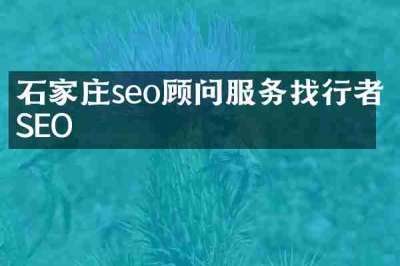 石家庄seo顾问服务找行者SEO