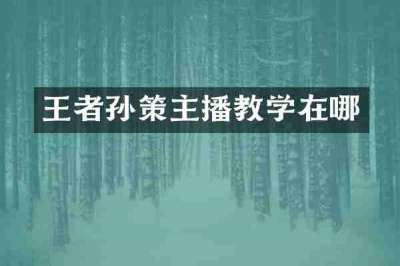 王者孙策主播教学在哪