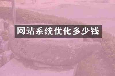 网站系统优化多少钱