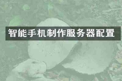 智能手机制作服务器配置