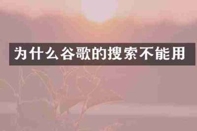 为什么谷歌的搜索不能用