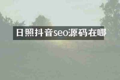 日照抖音seo源码在哪