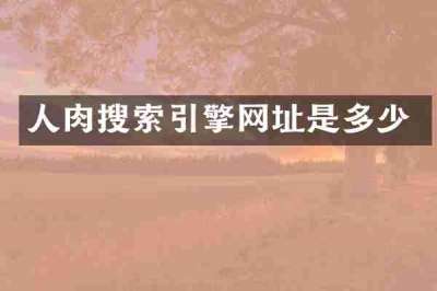 人肉搜索引擎网址是多少