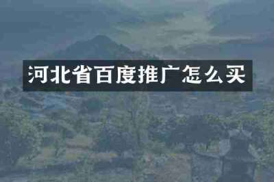 河北省百度推广怎么买