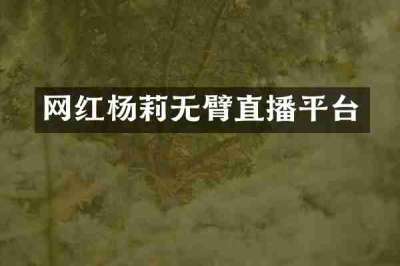 网红杨莉无臂直播平台