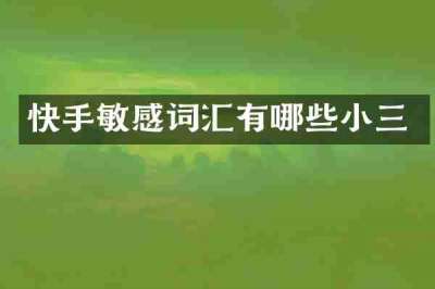 快手敏感词汇有哪些小三