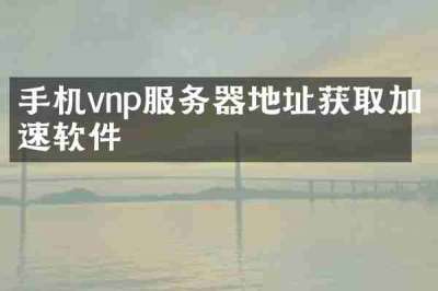 手机vnp服务器地址获取加速软件
