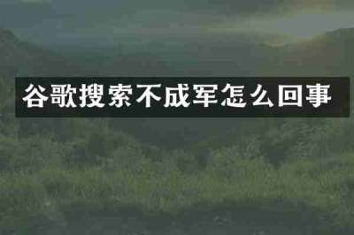 谷歌搜索不成军怎么回事
