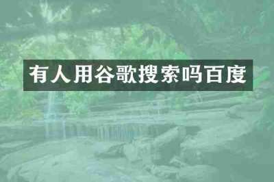 有人用谷歌搜索吗百度