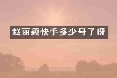 赵丽颖快手多少号了呀