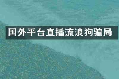 国外平台直播流浪狗骗局