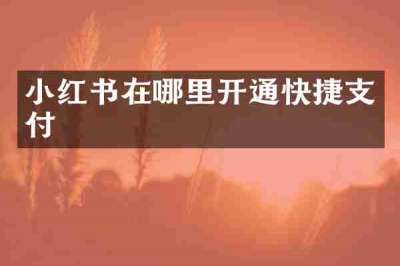小红书在哪里开通快捷支付