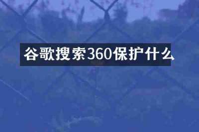 谷歌搜索360保护什么