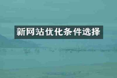 新网站优化条件选择