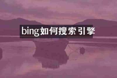 bing如何搜索引擎