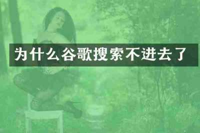 为什么谷歌搜索不进去了