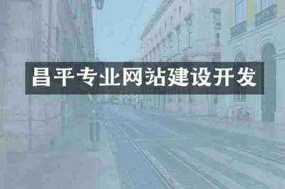 昌平专业网站建设开发