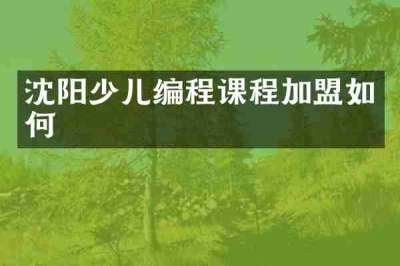 沈阳少儿编程课程加盟如何