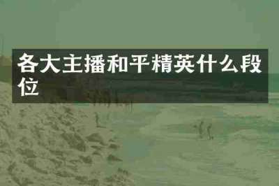 各大主播和平精英什么段位