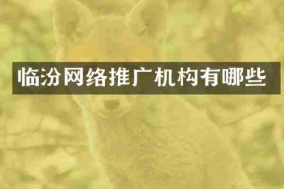 临汾网络推广机构有哪些