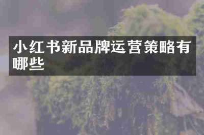 小红书新品牌运营策略有哪些