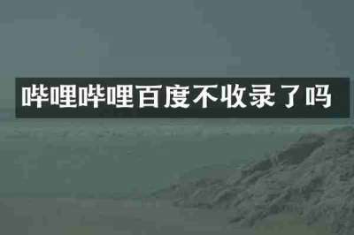 哔哩哔哩百度不收录了吗