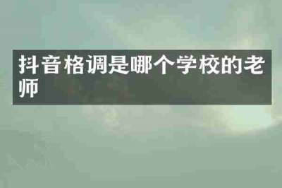 抖音格调是哪个学校的老师