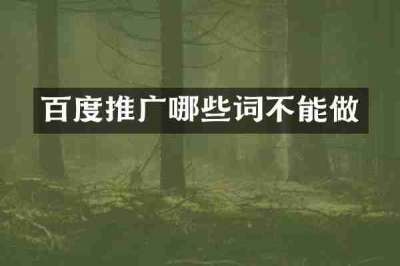 百度推广哪些词不能做