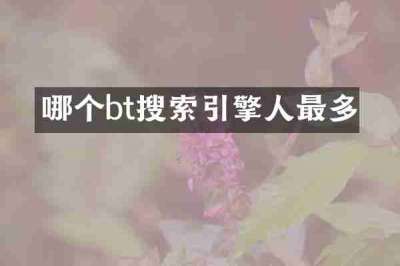 哪个bt搜索引擎人最多