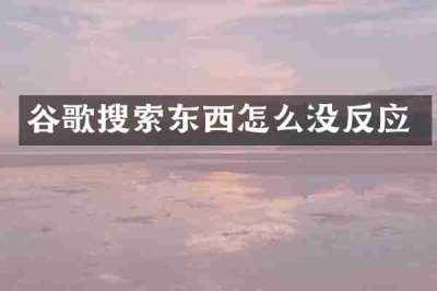 谷歌搜索东西怎么没反应